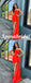 Sexy Sweetheart Sleeveless Sheath Mini Dresses/ Homecoming Dresses With Trail, PD3608